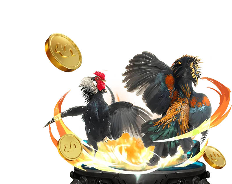 Đá Gà Trực Tuyến qu88